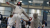 ECH juniors and cadets Tallinn 2023